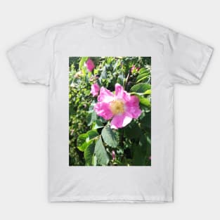 Pink wild rose photograph T-Shirt